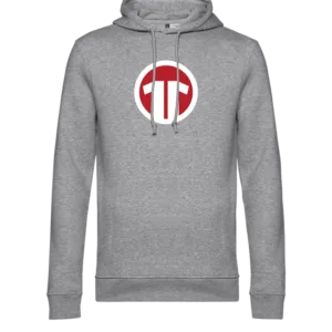 11teamsports Logo Hoody Grau