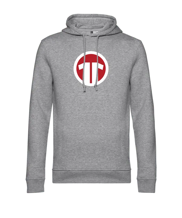 11teamsports Logo Hoody Grau